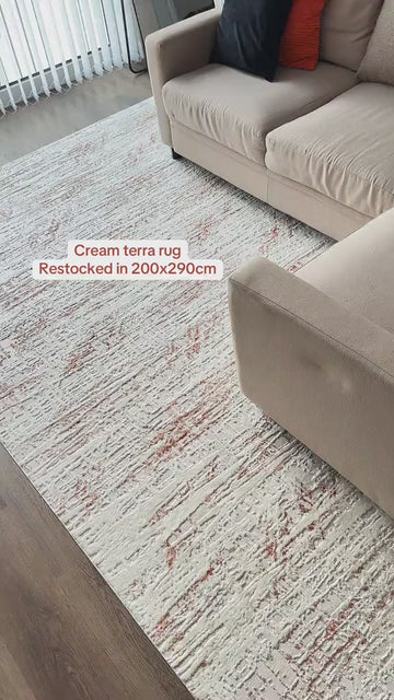 Customer video