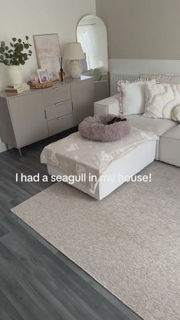 Customer video
