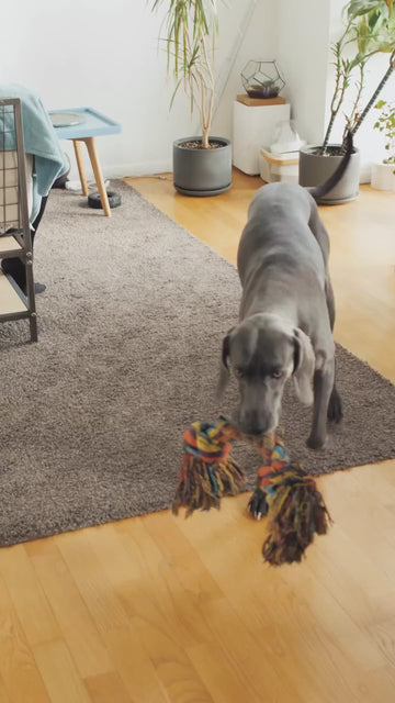 Actually, we can count many of them, but one of the advantages of having our Shaggy rug is they are pets and kids friendly! 🐾🐩 And your furry best friends will love how comfy they 