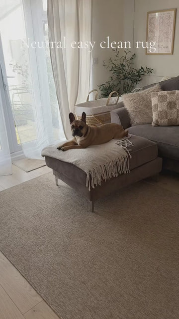 Customer video