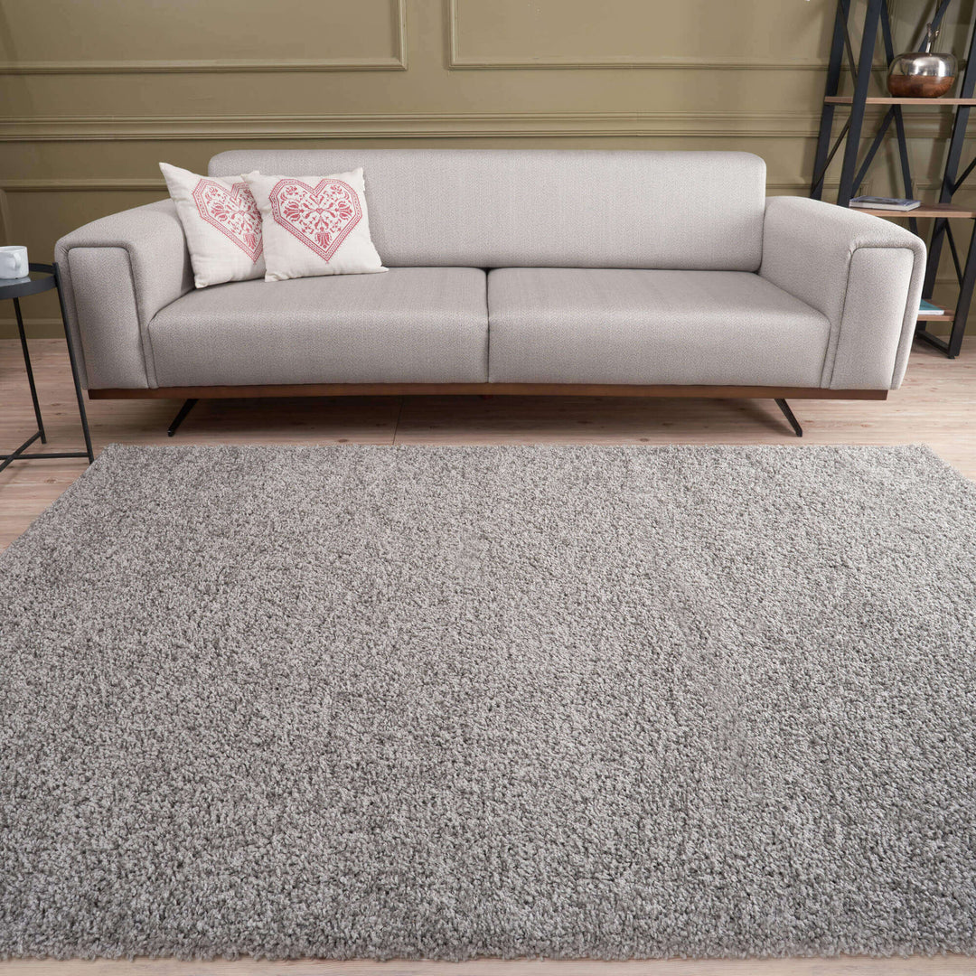 Modern Luxury Grey Shaggy Area Rug | The Rugs Collection