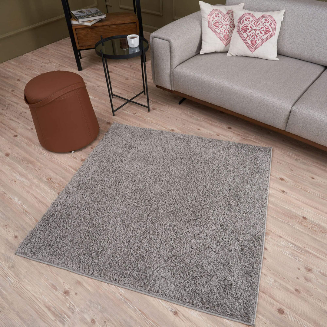 Modern Luxury Grey Shaggy Area Rug | The Rugs Collection