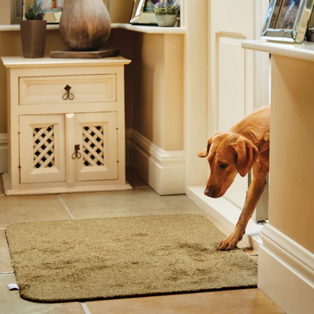 Eco-Friendly Washable Doorway Mats