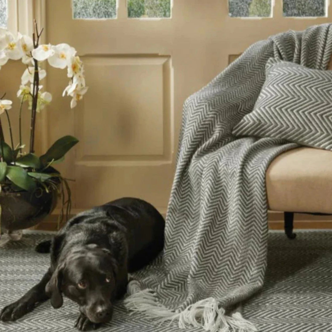 Herringbone Design Woven Throw | Sustainable | The Rugs