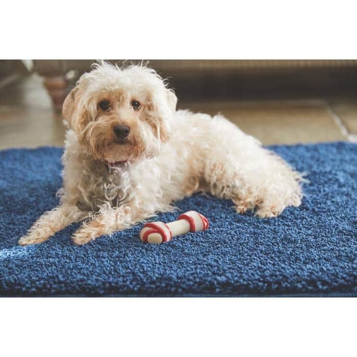 Plain Washable Pet Rug and Runner