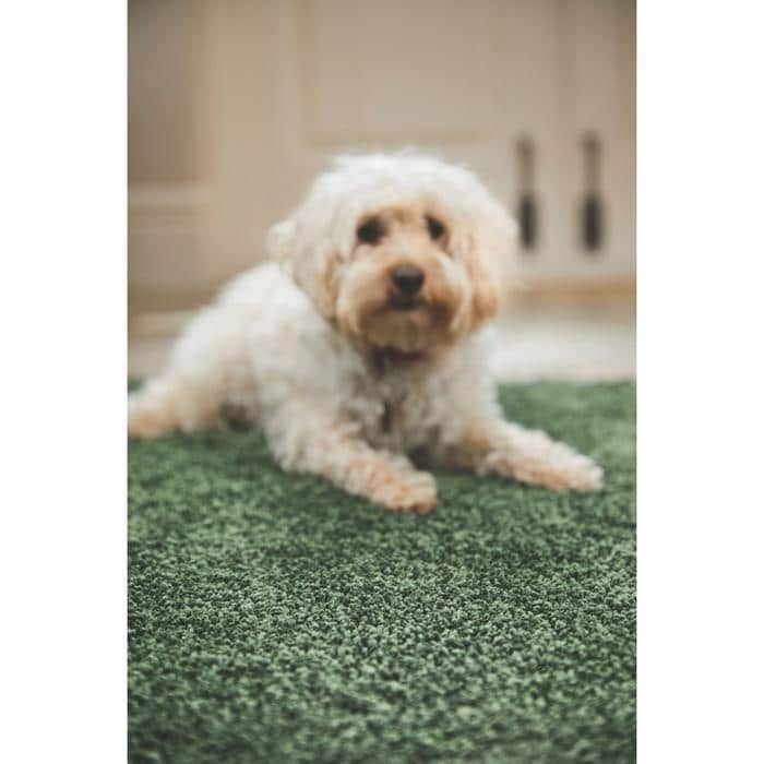 Plain Washable Pet Rug and Runner