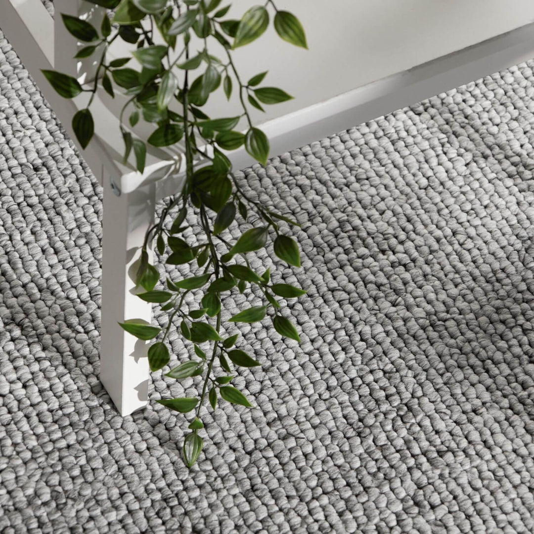 Green plant on a textured gray rug