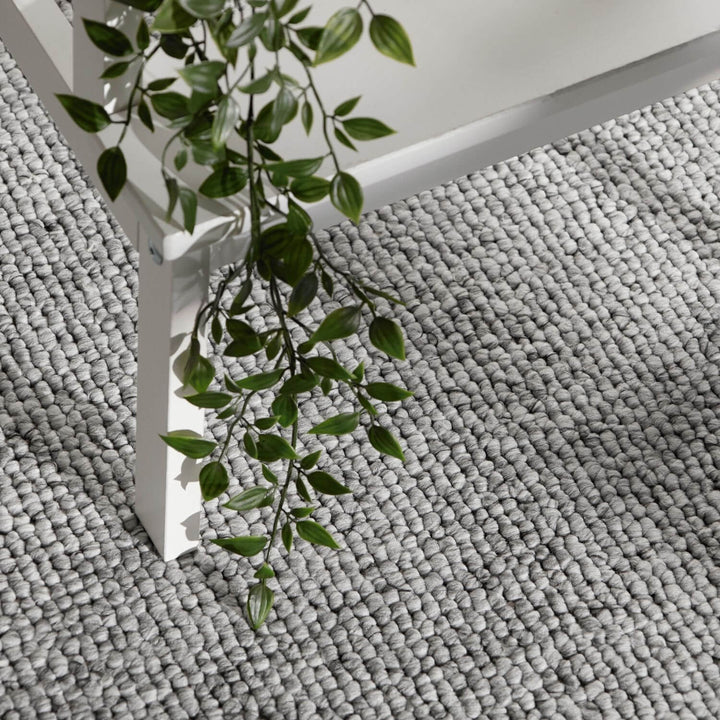 Green plant on a textured gray rug