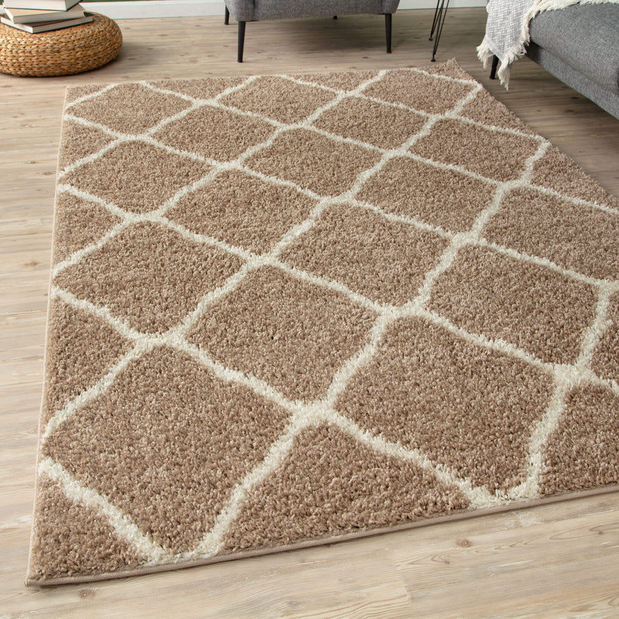 Moroccan Design Thick Shaggy Area Rugs Beige