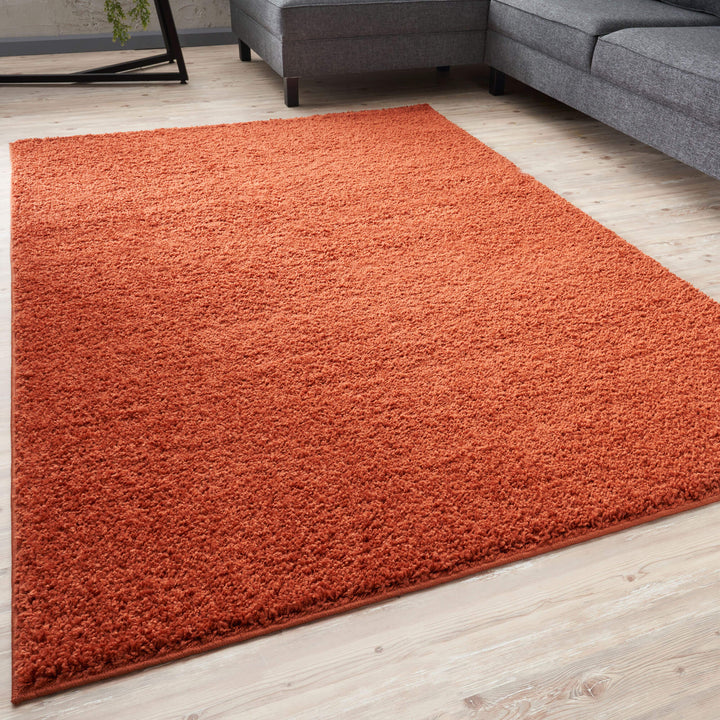 Myshaggy Collection Rugs Solid Design | Terra