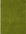 Premium Shaggy Rug Plain Green Rectangle Shape | The Rugs