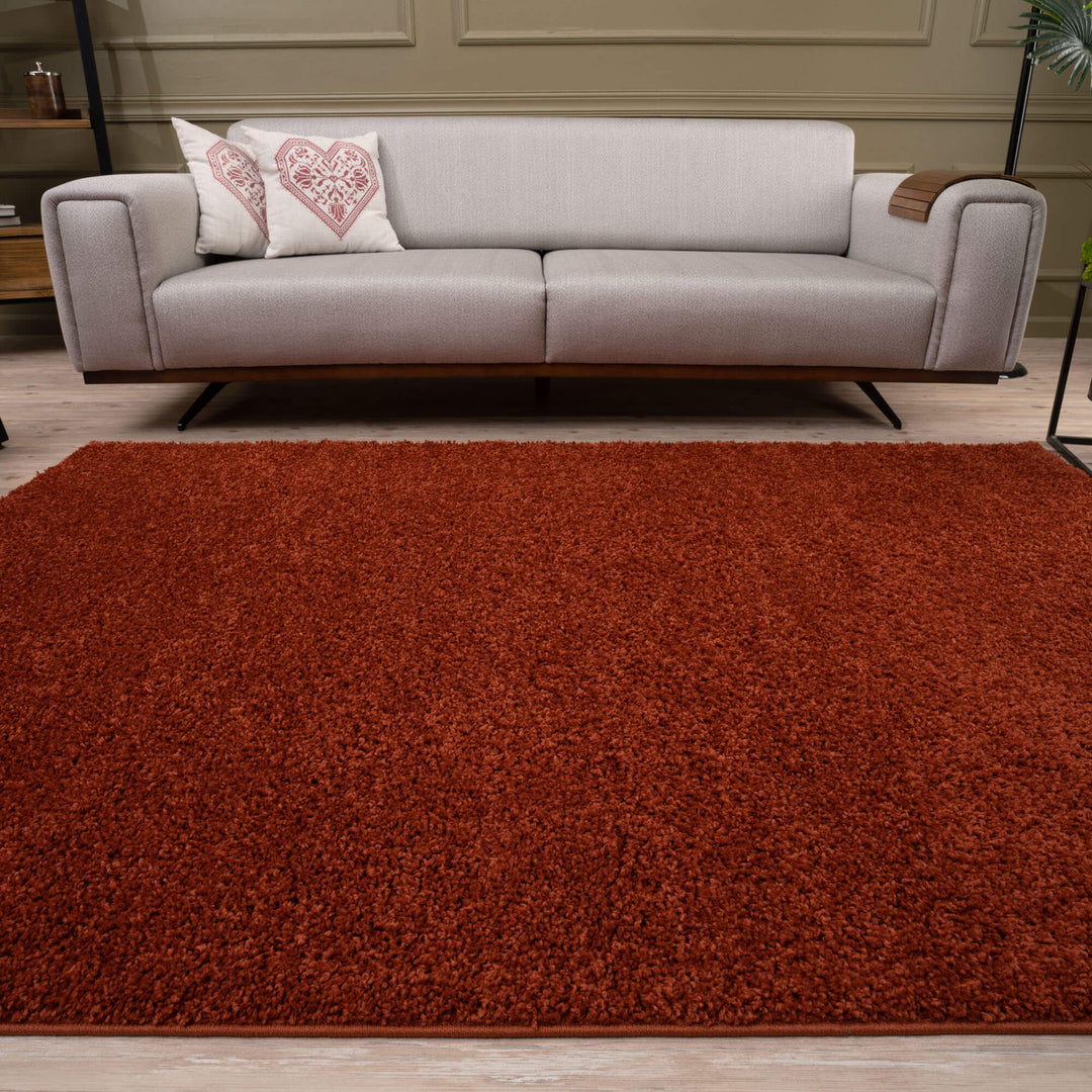 Myshaggy Collection Rugs Solid Design | Terra
